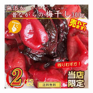 漬物 山形県産 梅干し 訳あり 300g×2袋 送料無料メール便