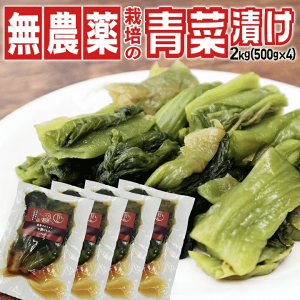 ؒЂ R` Ђ 500g×4 2KgZbg ؒЂ іL΂񂨒Ђ `aUz̓VR_͔| 