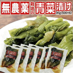 ؒЂ R` Ђ 500g×6 3KgZbg ؒЂ іL΂񂨒Ђ `aUz̓VR_͔| 