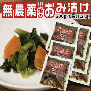 ݒЂ R` 200g×6 1.2KgZbg іL΂̒ЕV[Y `aUz̓VR_͔| 