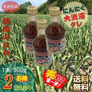 ē̂ ɂɂa؂ XY 300g/2{Zbg 