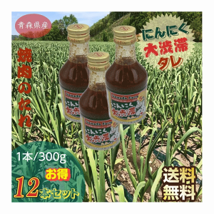 ē̂ ɂɂa؂ XY 300g/12{Zbg 