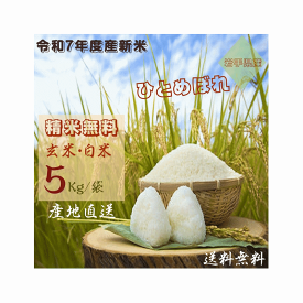 岩手県産 ひとめぼれ 5Kg 玄米・白米・分づきにお好み精米 送料無料 当日精米