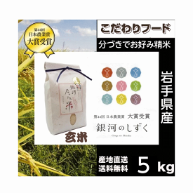 無洗米 岩手県産 銀河のしずく 5Kg 白米・分づきにお好み精米 送料無料 当日精米