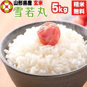 R`Y    5kg ߘa7NY Ė  Â  