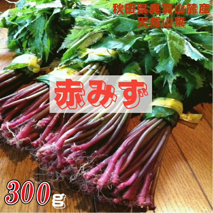 楽天市場】天然山菜 完全予約販売 秋田県産天然みず ウワバミソウ 