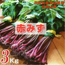 天然山菜 完全予約販売 秋田県産天然みず ウワバミソウ 3Kg 産地直送 送料無料