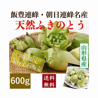 早期予約受付中 天然山菜 天然ふきのとう 600g/袋　自然の恵み　限定予約販売　送料無料