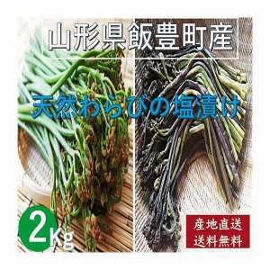 天然山菜 わらびの塩漬け/2Kg 自然の恵み 予約販売 山形県飯豊町産 送料無料