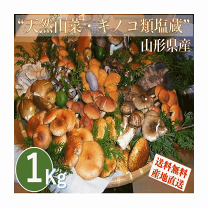 楽天市場】日本きのこセンターの通販