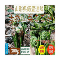 楽天市場】こごみ(山菜|野菜・きのこ):食品の通販 楽天市場】こごみ(山菜|野菜・きのこ):食品の通販