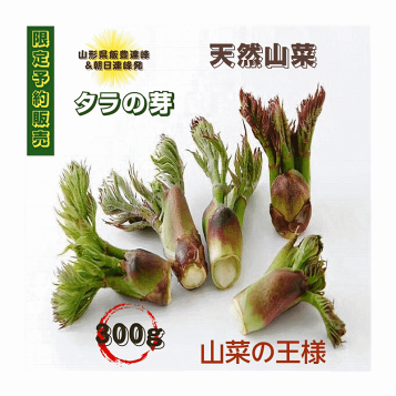 楽天市場】たらの芽〈タラノメ〉1ケース、20パック前後、1Kg前後