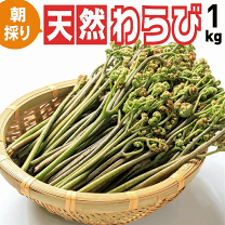 天然わらび10キロ 楽天市場】ワラビ（総重量（野菜）1.0 ～ 1.9kg）（山菜｜野菜・きのこ