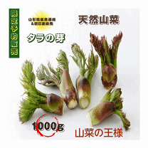楽天市場】天然 タラの芽の通販 楽天市場】天然 タラの芽の通販