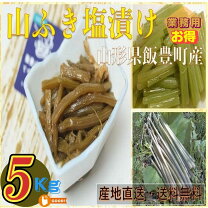 楽天市場】ふき 塩漬けの通販