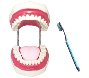 ͌^ ^f ͌^ uVZbg    V ㉺{ w wZ wK  { o ^ w   w p ώ@ Z w   G 