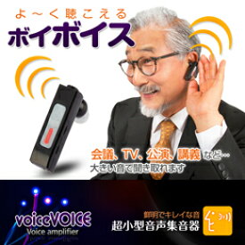 ☆AJAX 超小型音声集音器 voiceVOICE(ボイボイス) VA3000