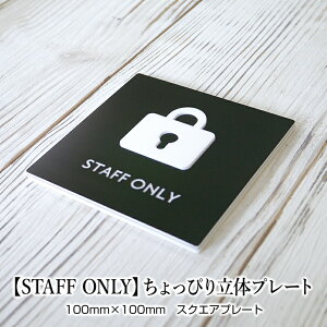 yANv[gzySTAFF ONLYz҂藧̃v[g X^bt[ @֌W҈ȊO֎~ TCv[g y\邾IȒPz