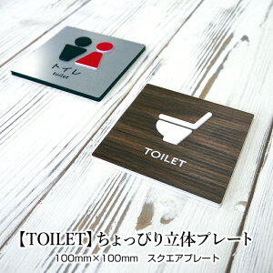 yANv[gzyTOILETz҂藧̃v[g gC TCv[g  ώ y\邾IȒPz