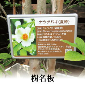 楽天市場 記念 植樹の通販