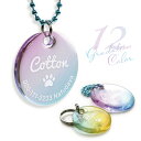 ペットのなふだ 【 グラデーションカラー】 犬 猫 名前 名札 首輪 贈り物 軽い おしゃれ かわいい きらきら グラデ