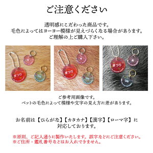 ヨーヨーみたいな迷子札