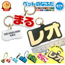 ペットのなふだ neo 【 迷子札 】犬 猫 大きい 小 軽量 防災 カラフル 首輪 ハーネス 両面