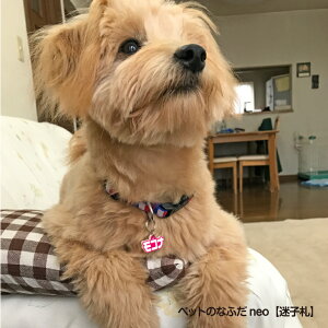 猫 名札 犬用品の人気商品 通販 価格比較 価格 Com
