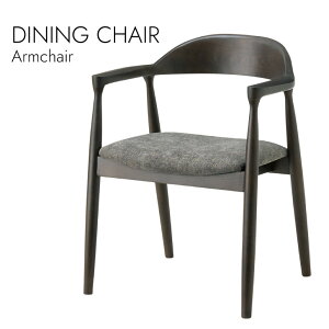 Dining Armchair _CjOA[`FA kX^C A[`FA ~bhZ`[