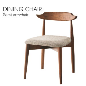 Dining Semi Armchair _CjO`FA Z~A[`FA A[`FA kX^C