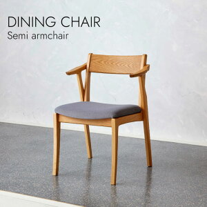 y󒍐YizDining Semi armchair _CjO`FA kX^C Z~A[`FA ~bhZ`[ I[N