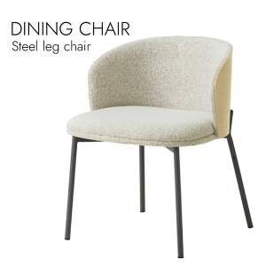 Dining chair �_�C�j���O�`�F�A �k���X�^�C�� �V���v�� �X�`�[�����b�O