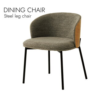 Dining chair �_�C�j���O�`�F�A �k���X�^�C�� �V���v�� �X�`�[�����b�O