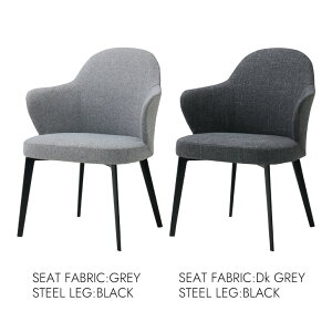 Dining chair �_�C�j���O�`�F�A �k���X�^�C�� �V���v�� �X�`�[�����b�O �A�[���`�F�A