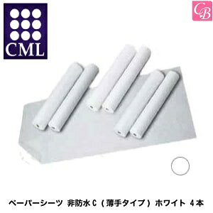 yő300~N[|zCML GXe֘A y[p[V[c hC (^Cv) zCg 4{sGXepit