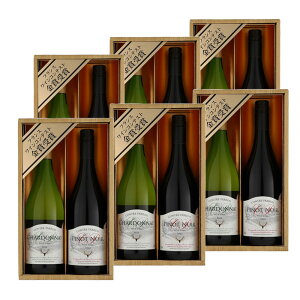 yztXY ܃C gZbg Rg p Vhl  h 750ml 12%  Rg p smm[  ~fBA 13% | v[g 蕨 a FB ԃC