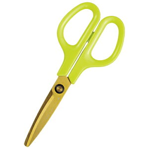 vX nT~ tBbgJbgJ[u 􂦂 `^ AbvO[ 34-555