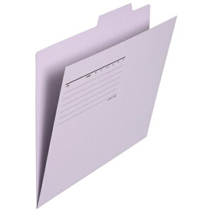 vX ʃtH_[GRm~[ 10 A4 FL-081IF 87-413 oCIbg