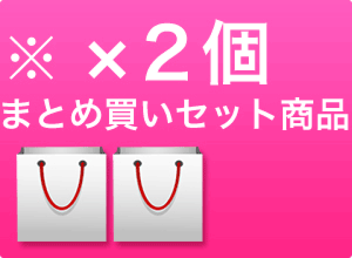 楽天市場】【最大300円クーポン】【当日発13時まで】【x2個】ブライ ジ