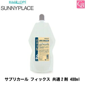 yő300~N[|zTj[vCX TvJ[ tBbNX 2 400mlse  p[}t p[} Tꔄi salon permt