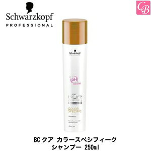 yő300~N[|zy13܂Łzyx2z VcRt BCNA J[XyVtB[N Vv[ 250mlsVcRt Vv[ eꔄ Tꔄi shampoo VcRt