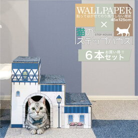 楽天市場 猫 素材 インテリア 紙 段ボール 壁紙 壁紙 装飾フィルム インテリア 寝具 収納の通販