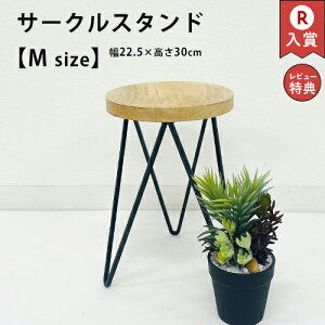 T[NX^h MTCY | t[X^h ؐ K[ft@j`[ K[fjO ԑ X^h u Aؔ | x_K[f ؐX^h TChe[u \t@e[u 