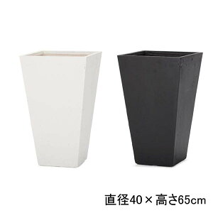 XNGA g[v^[ | v^[ Aؔ  Jo[ A Vv _K[f K[fjO  vcMUO uR[Wt[ 񂹐A 