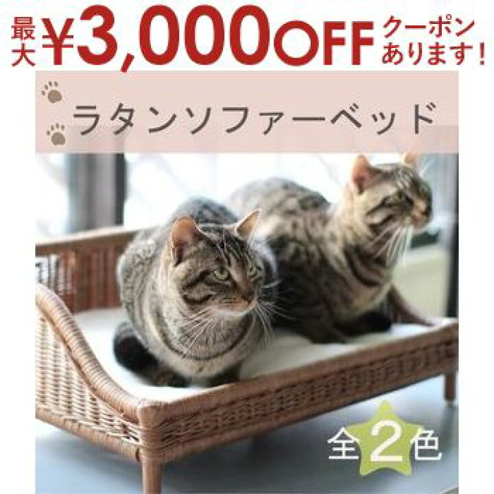 楽天市場】【最大3000円OFFクーポン※お買い物マラソン】ペット用ラタン  