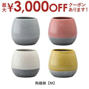 yő3000~OFFN[|LI}\z픫 MTCY | Aؔ  픫 a14.5cm  Vv|bg v^[ K[f|bg |bg  Aؔ v^[ A 