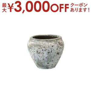 yX[p[Z[Iő3,000~N[|LIXSiP2{Izv^[  ɂ aԊ p`[bvv^[ S 傫 ^ Ԋ re[W AeB[N  Aؔ a 