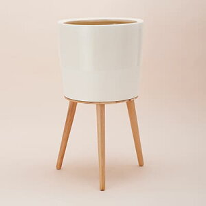 | CeA |bg Gi 54 B ceramic i1Zbgj 40025 rt^Cv  ϗtAp ꌊȂ  fGȃ|bg CeA K[fjO A Aؔ k v^[  t