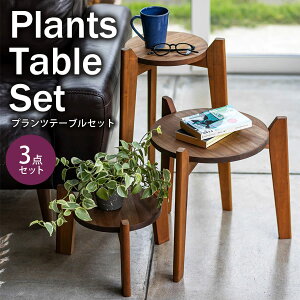 vce[u | v^[X^h t[X^h TChe[u ؐ  W_ vce[uZbg ϗtA X^h k ԑ 3_Zbg  fBXvC