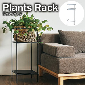 yő3,000~OFFN[|LIPT3{IX[p[SALEzvcbN | ԑ bN v^[ [ I X  RpNg Vv ϗtA SIEVE vc  ȃXy[X ubN O[ 